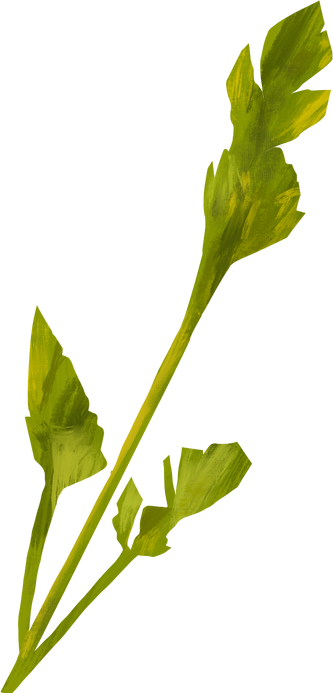 Cutout Textured Celery Scrap 